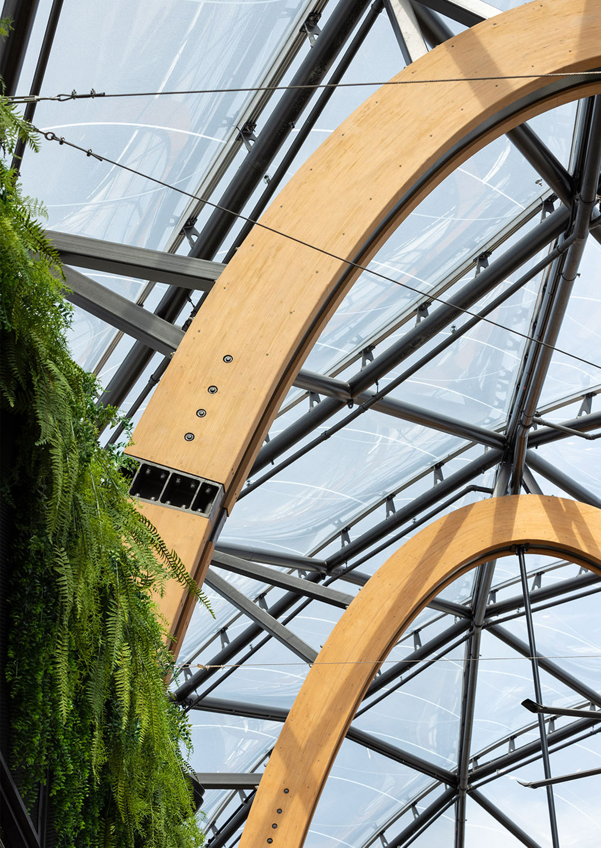 Botany Garden Lane Best Awards